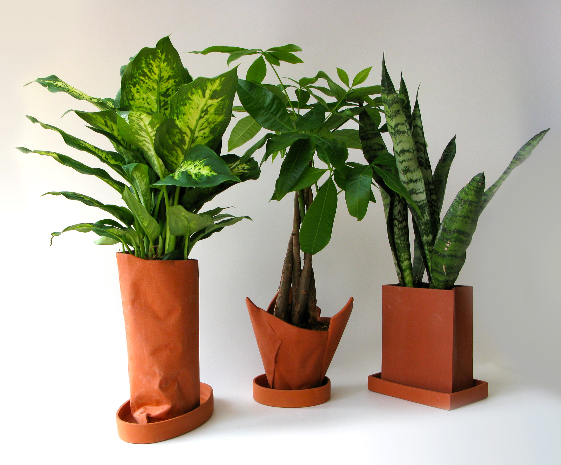 terracotta-planters