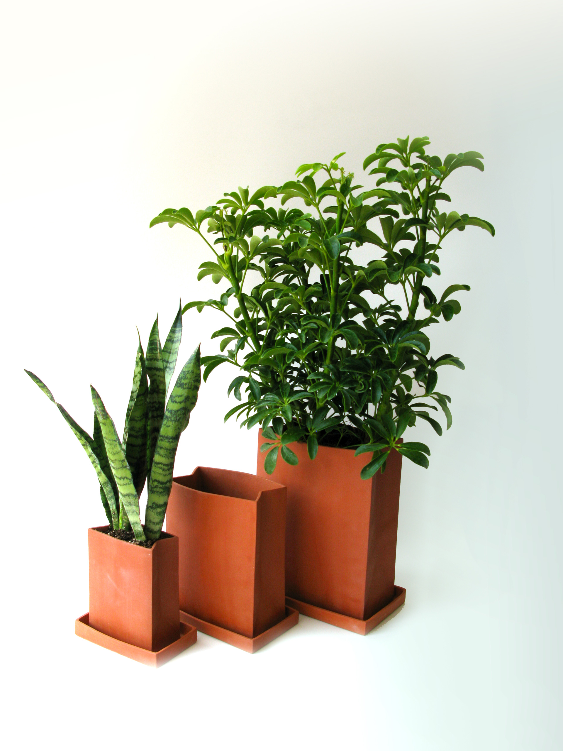 terracotta-planters